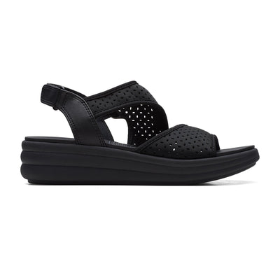 Drift Fern Black